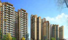 四川金雁房地產(chǎn)開發(fā)