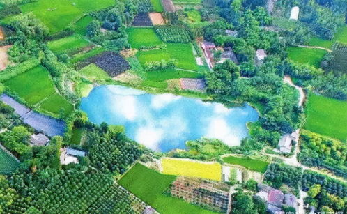 23億負債壓頂，22年老牌房企申請破產！阜陽房企承壓，四川地產亦現隱憂